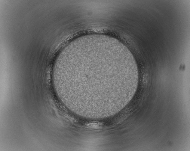 X0000113990595200911131120