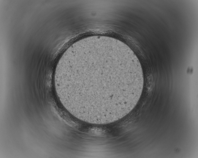 X0000113990596200911131120