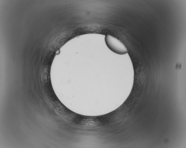 X0000113990597200911131120