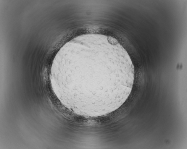 X0000113990598200911131120