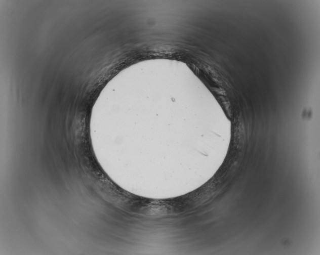 X0000113990608200911131120