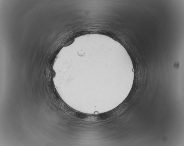 X0000113990609200911131119