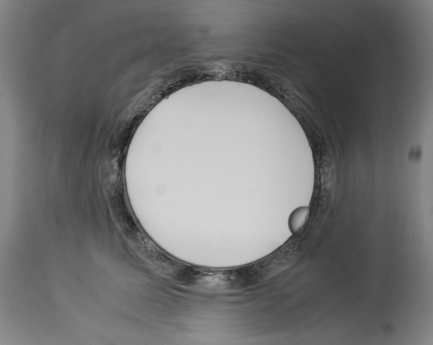 X0000113990611200911131119