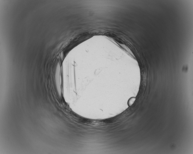 X0000113990617200911131119