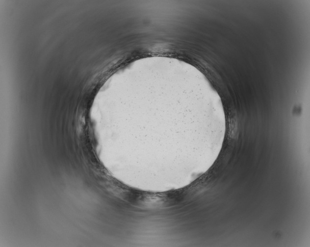 X0000113990618200911131119