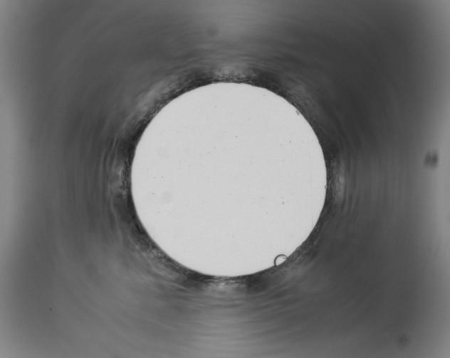 X0000113990619200911131119