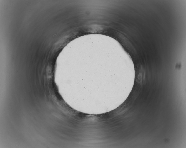 X0000113990620200911131119