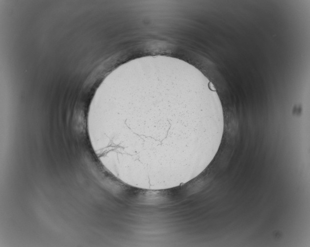 X0000113990622200911131119