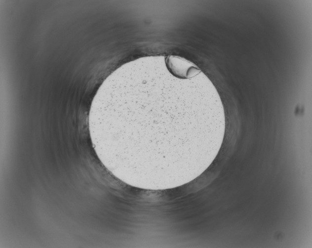 X0000113990624200911131119