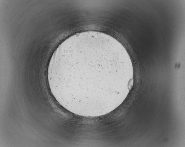 X0000113990625200911131119