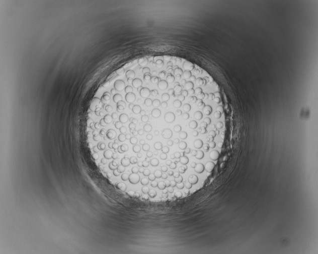 X0000113990626200911131119