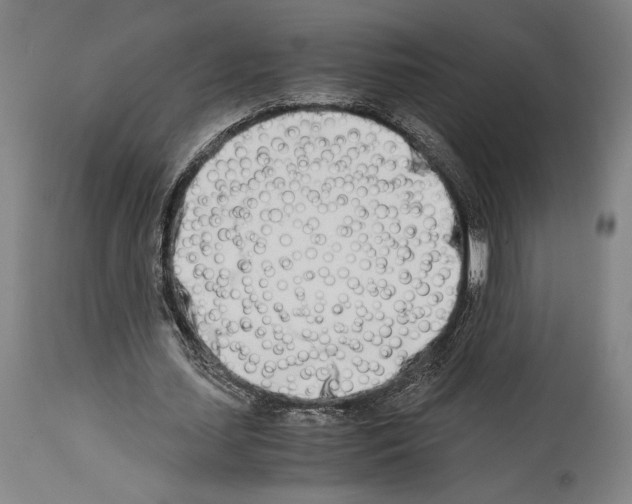 X0000113990627200911131119