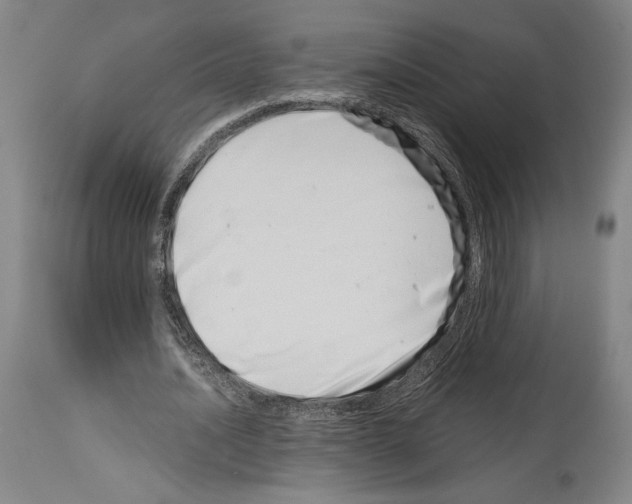 X0000113990628200911131119