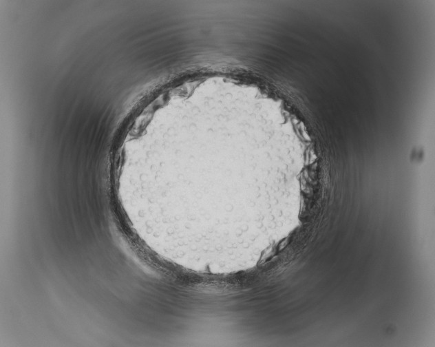 X0000113990630200911131119