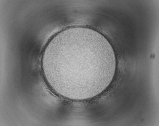 X0000113990632200911131119