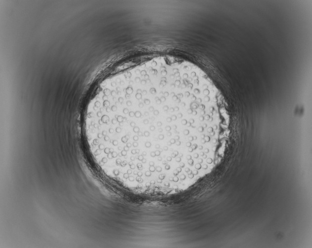 X0000113990634200911131119