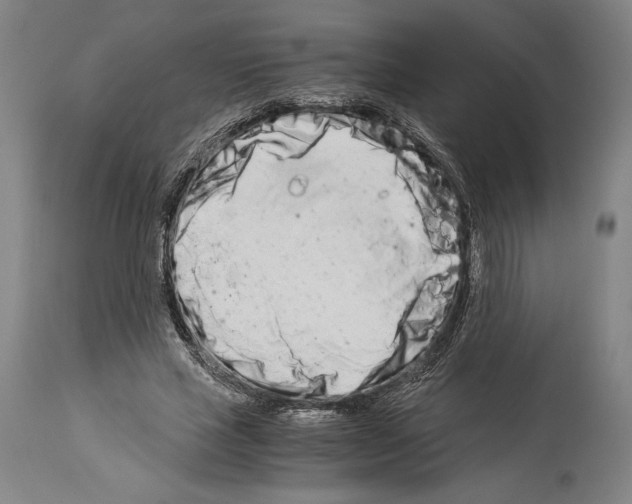 X0000113990637200911131119