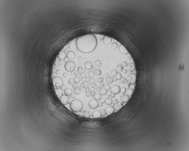 X0000113990639200911131119