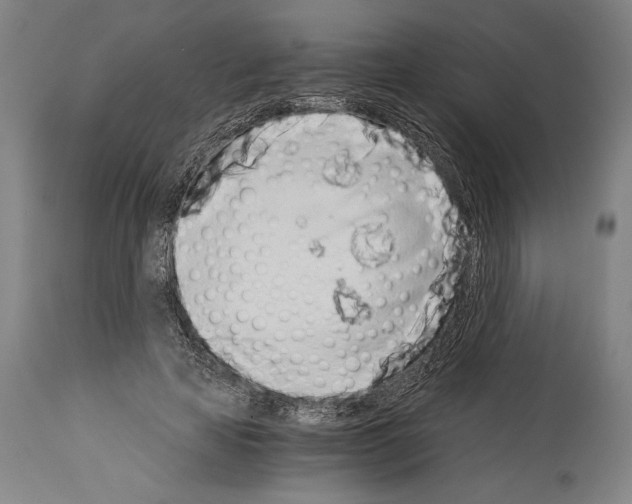 X0000113990641200911131119