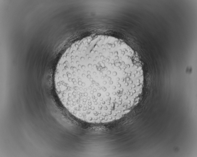 X0000113990642200911131119