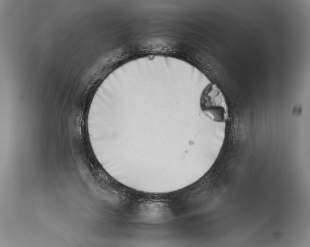 X0000113990643200911131119