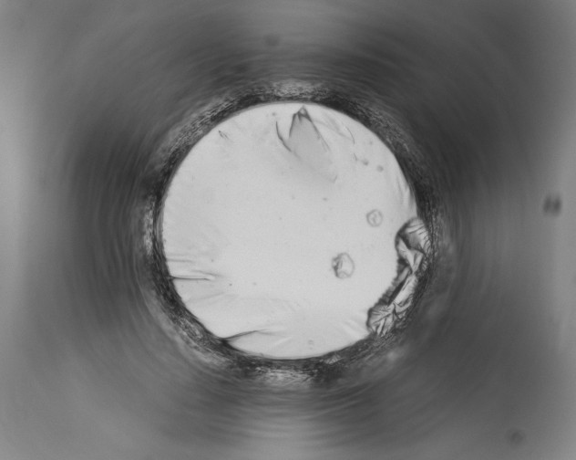 X0000113990644200911131119