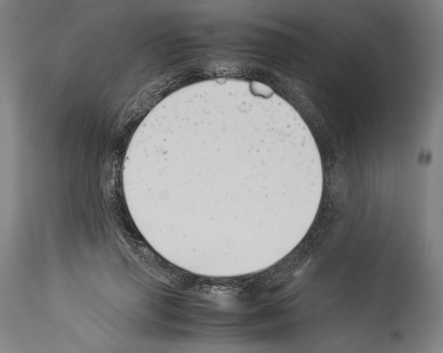 X0000113990645200911131119