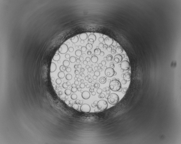 X0000113990646200911131119