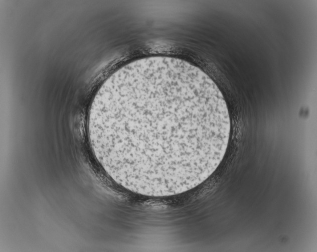 X0000113990648200911131119