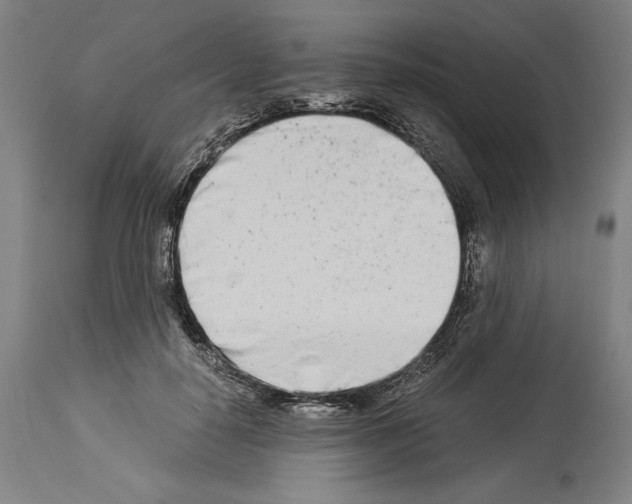 X0000113990650200911131119