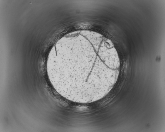 X0000113990651200911131119