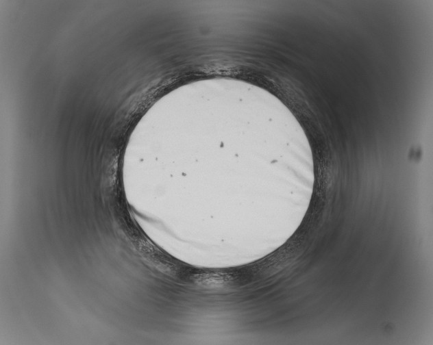 X0000113990652200911131119