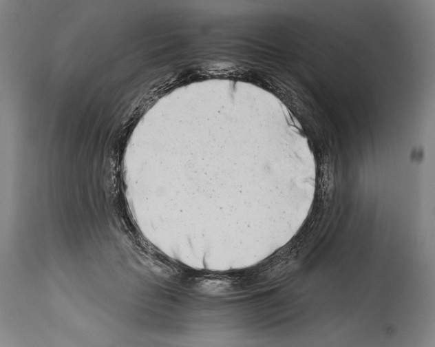 X0000113990653200911131119