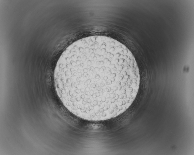 X0000113990654200911131119