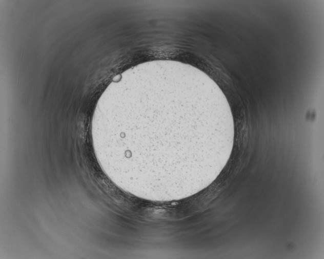 X0000113990655200911131119