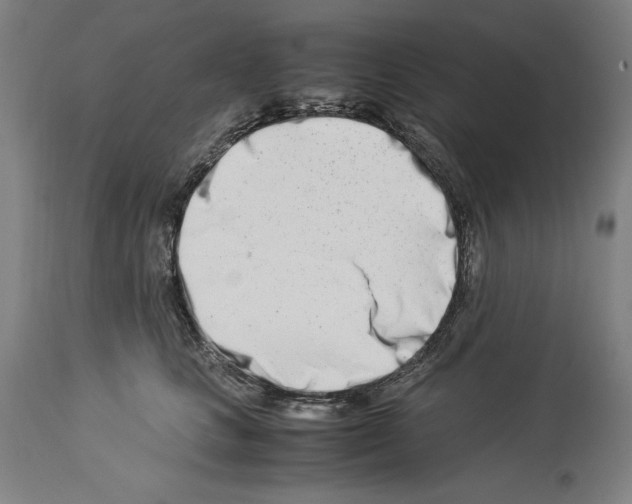 X0000113990661200911131119