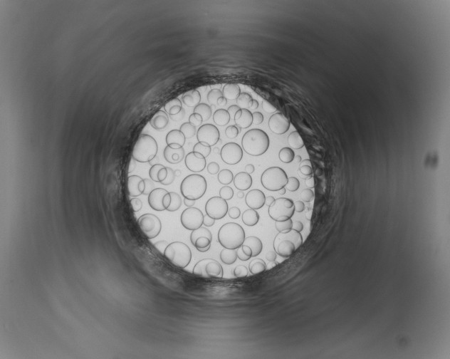 X0000113990662200911131119