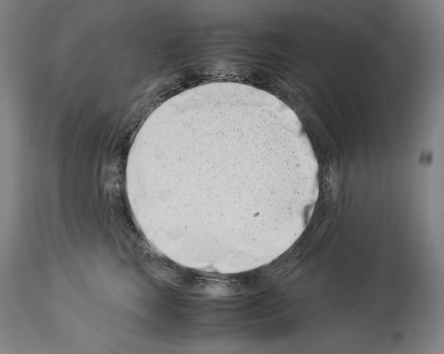 X0000113990663200911131119