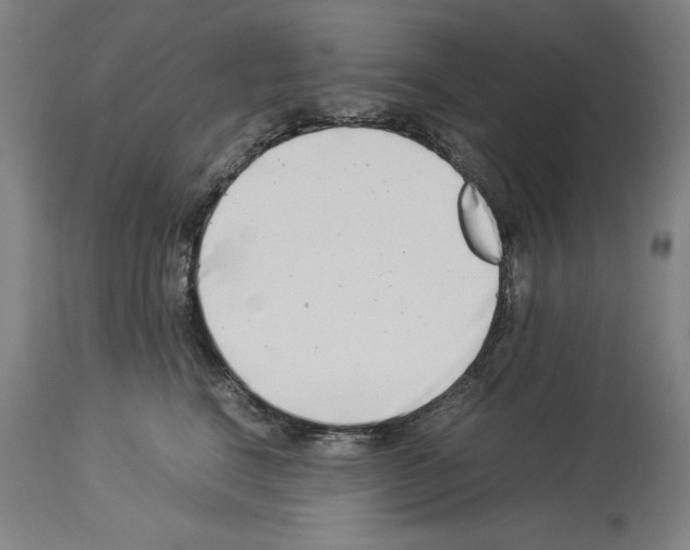 X0000113990664200911131119