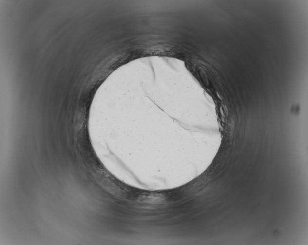 X0000113990665200911131119