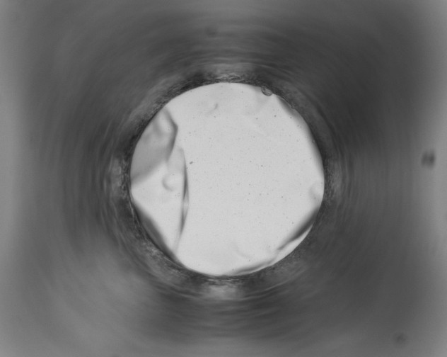 X0000113990667200911131119