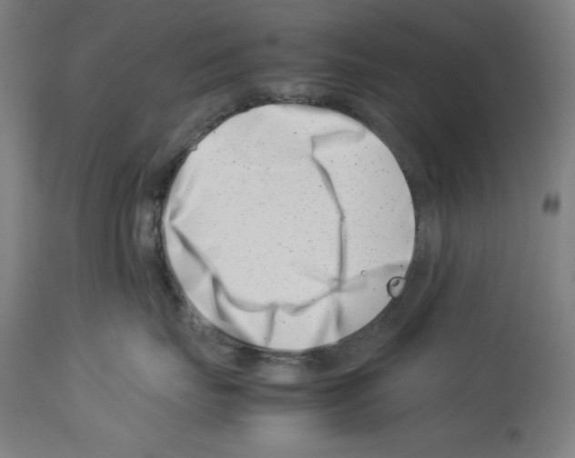 X0000113990671200911131119