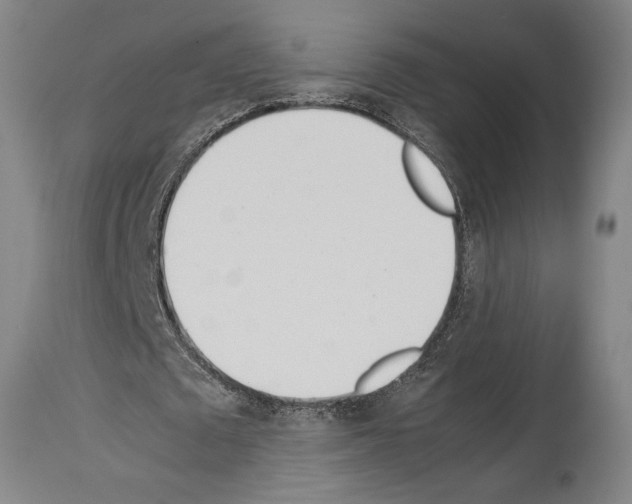 X0000113990673200911131119