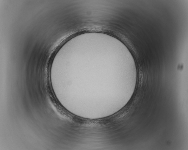 X0000113990674200911131119