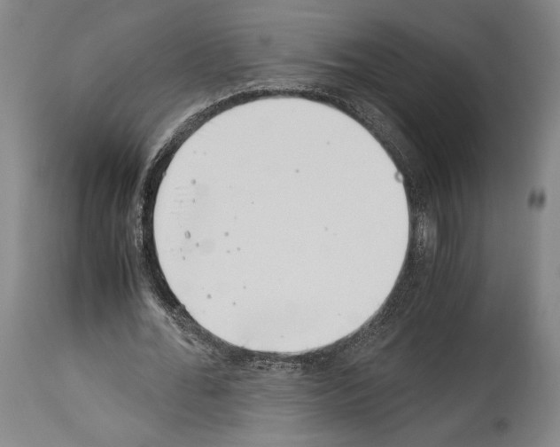 X0000113990676200911131118