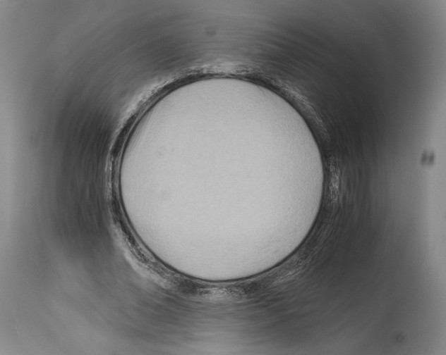 X0000113990678200911131118