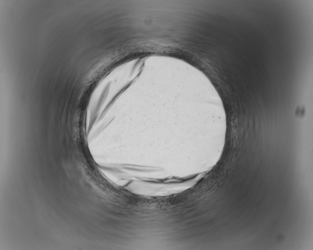 X0000113990679200911131118