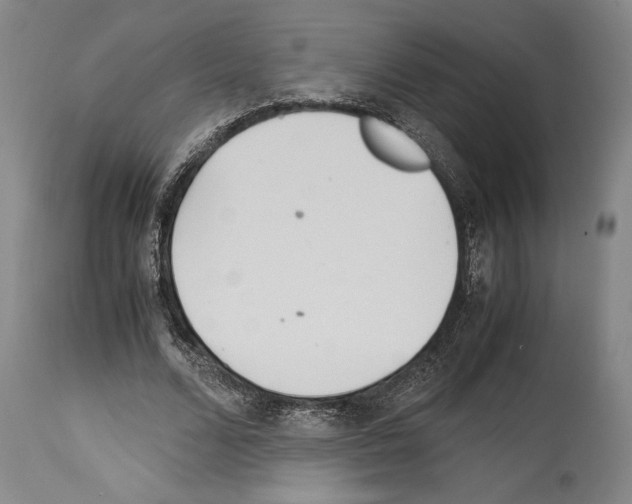 X0000113990680200911131118