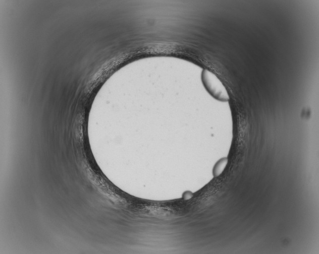 X0000113990681200911131118