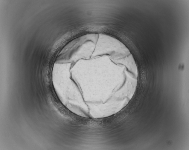 X0000113990682200911131118